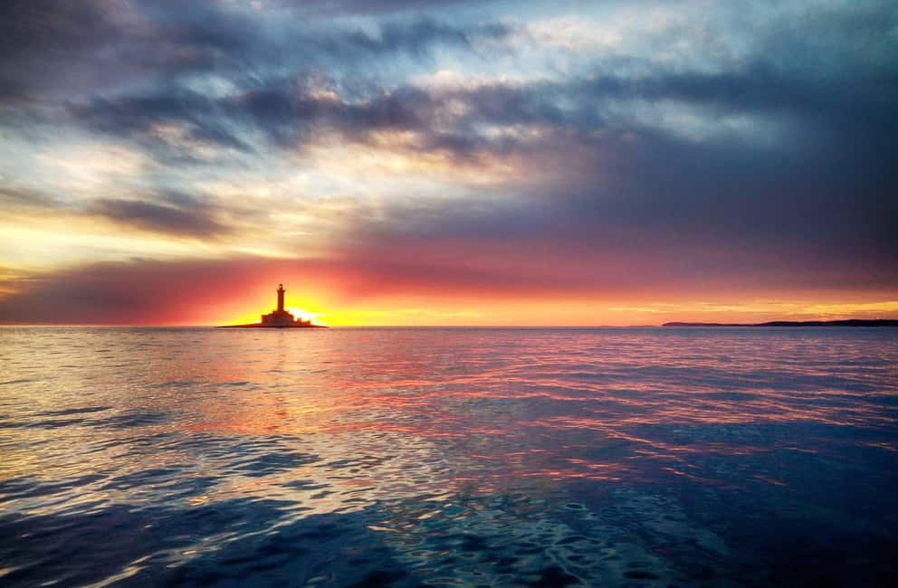 Immagine nº 15 di 3 ore di osservazione dei delfini al tramonto con bevande illimitate + cena attività a Istarska, caricata dal fornitore