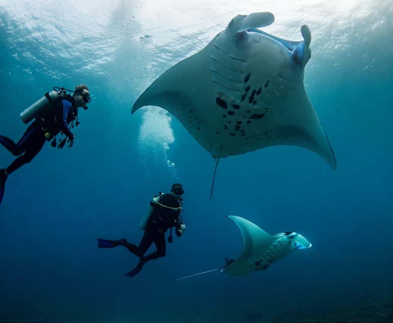 imagem n.58 de Bali: Nusa Penida Speedboat Trip com Snorkeling e Tour atividade em Bali, carregada pelo fornecedor