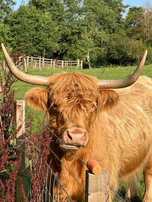 billede nr.9 af aktiviteten Edinburgh: Privat tur til Loch Ness, Glencoe og højlandet i Det skotske højland, uploadet af udbyder