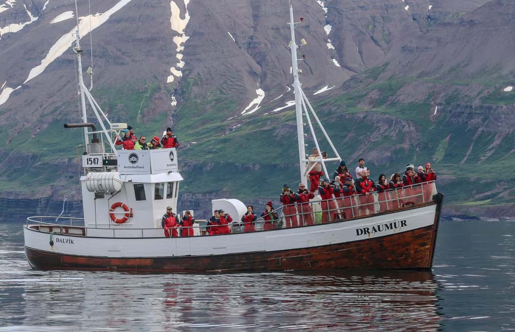 image n.3 of From Dalvik: Arctic Whale Watching in Northern Iceland activity in Northeastern Region, Iceland, uploaded by supplier