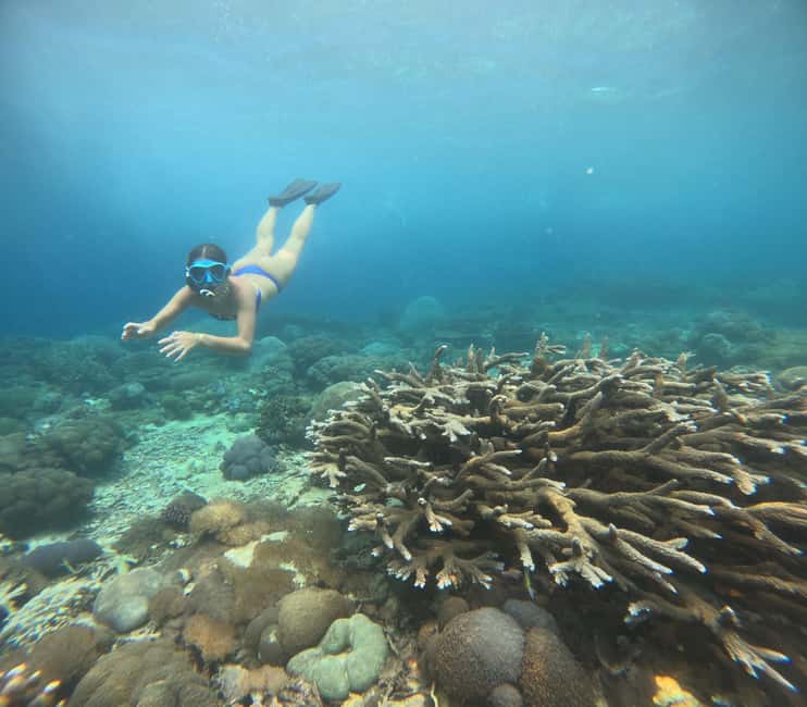 image n.27 of Nusa Penida Island: Manta Point Snorkeling & West Coast Tour activity in Batoemadeg, uploaded by supplier
