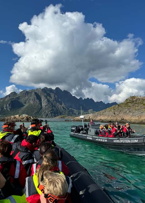 image n.9 of From Svolvær: RIB Boat Lofoten Trollfjord Sea Eagle Safari activity in Nordland County, uploaded by supplier