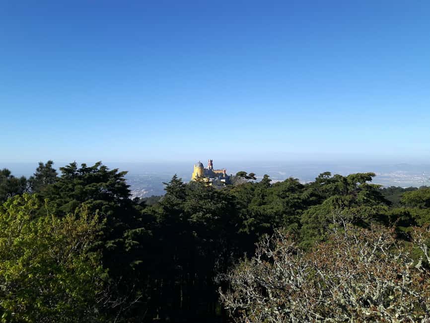 billede nr.8 af aktiviteten Lissabon: Halvdagstur til Sintra med Pena-paladset og Regaleira i Sintra, uploadet af udbyder