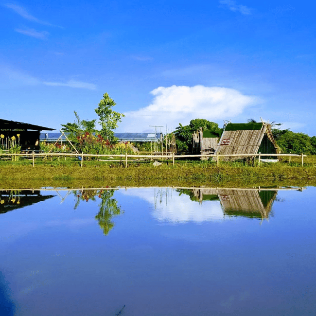 image n.7 of Penang: ATV Ride in Balik Pulau with Snacks and Transfers activity in Balik Pulau, uploaded by supplier