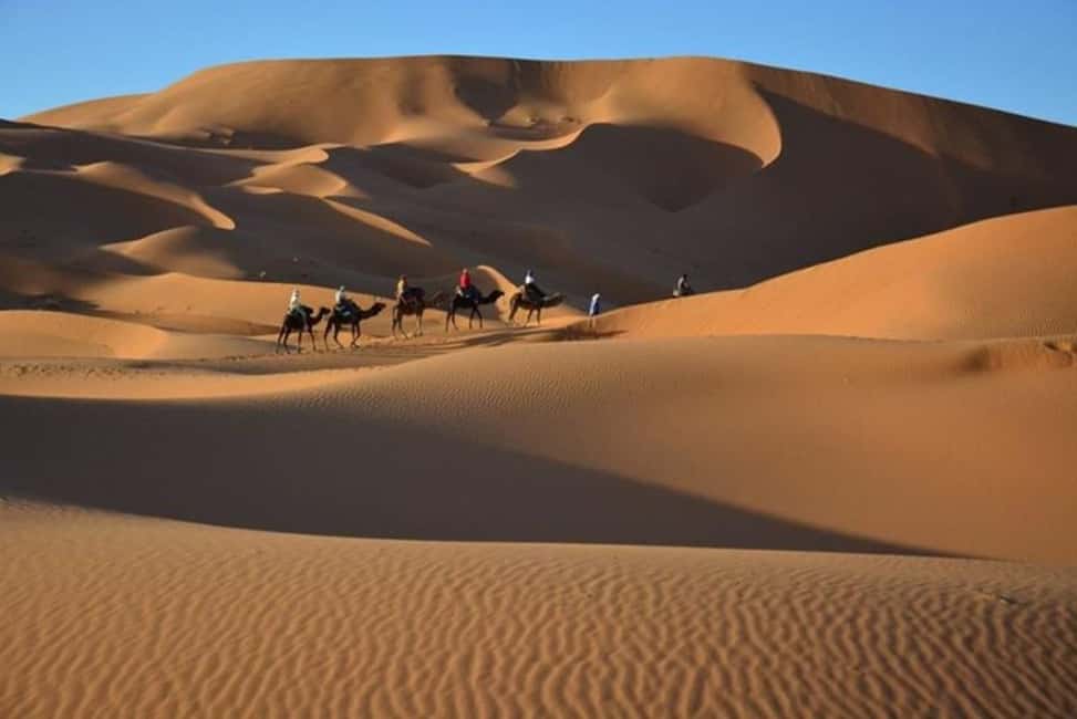 Image N°7 de Au départ de Fès : 2 jours d'excursion de luxe dans le désert à Marrakech et retour à Fès activité à Drâa-Tafilalet, publiée par le prestataire