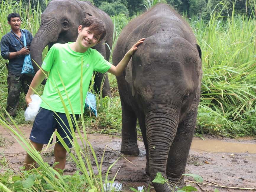 image n.5 of Chiang Mai: Elephant Sanctuary, Waterfall & Bamboo Rafting activity in Chiang Mai, uploaded by supplier