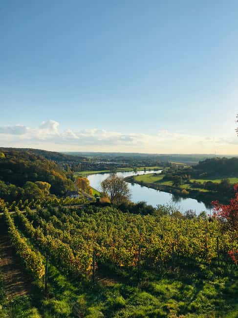 billede nr.8 af aktiviteten Dresden: Bådtur med vinsmagning og snacks i Tyskland, uploadet af udbyder