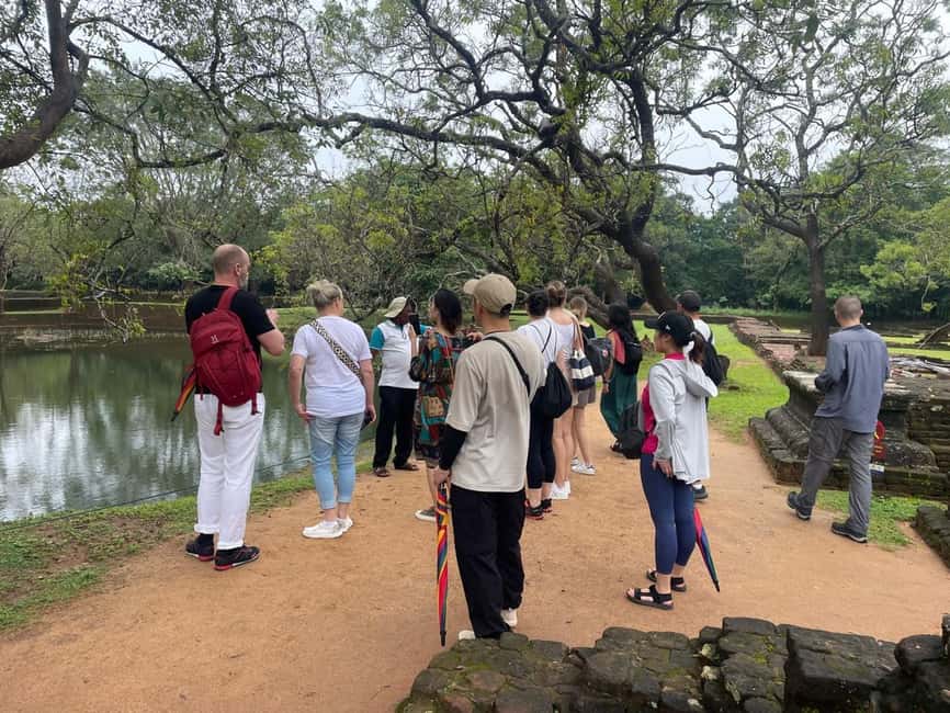 image n.19 of From Colombo: Sigiriya and Dambulla Day Trip and Safari activity in Sigiriya, uploaded by supplier