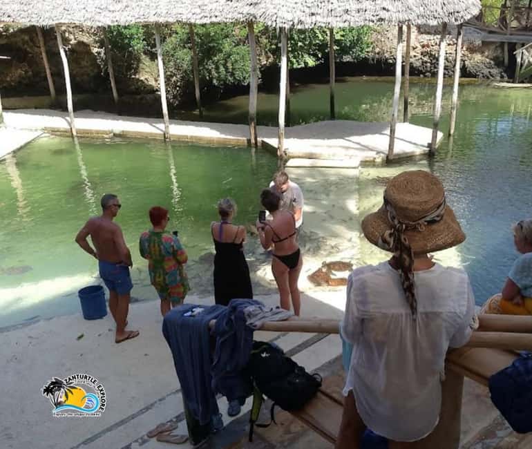 image n.17 of Nungwi: Swimming with Turtles at The Lagoons Zanzibar activity in Zanzibar City, uploaded by supplier