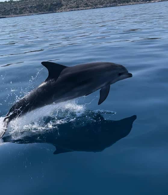 image n.7 of Zadar: 3-Island Luxury Speedboat Tour with Snorkeling activity in Dalmatia, uploaded by supplier