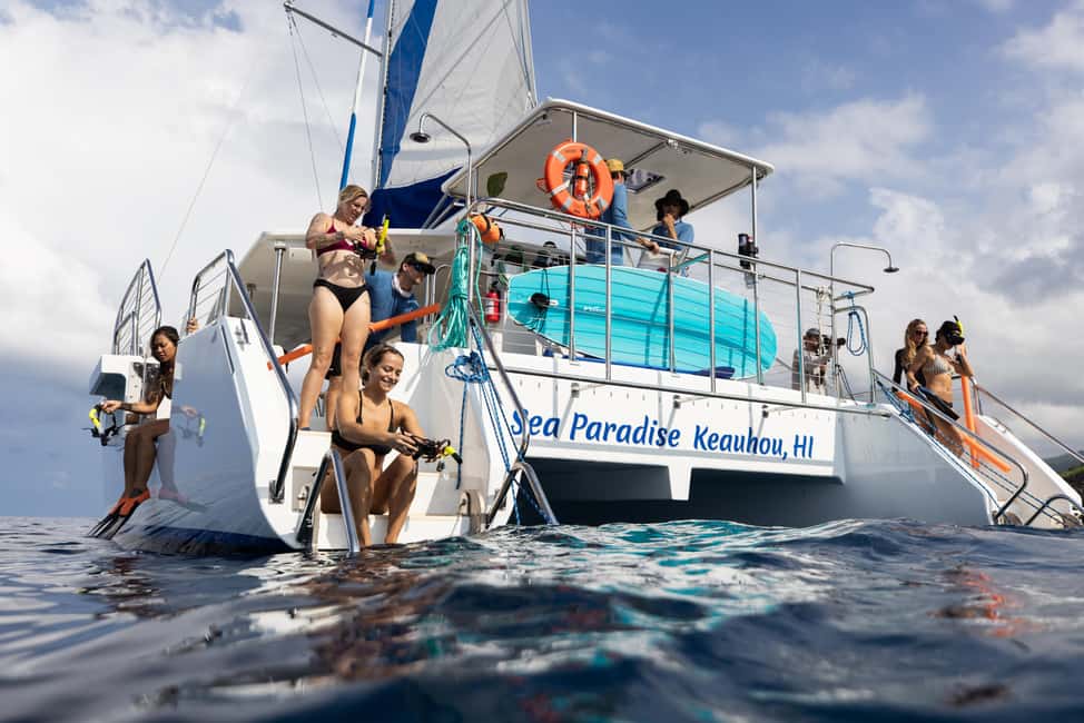 image n.3 of From Keauhou Bay: Snorkel Cruise to Captain Cook's Monument activity in Kahaluu-Keauhou, uploaded by supplier