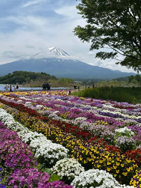 obrázek č.16 aktivity Jednodenní soukromá exkurze na horu Fuji s anglicky mluvícím řidičem v destinaci Hakone, nahraný poskytovatelem aktivity