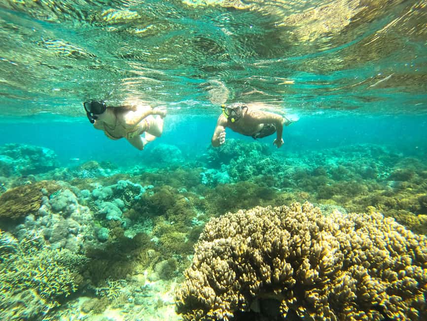 Obraz nr 4 z atrakcji Ekskluzywna jednodniowa wycieczka na różową plażę Lombok i 3 Gilis w Indonezja, przesłany przez organizatora