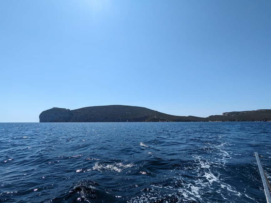image n.23 of Alghero: Daily Sailing Experience with lunch onboard activity in Alghero, uploaded by supplier