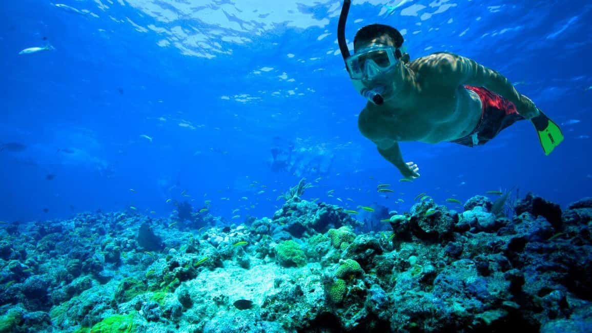image n.22 of Fort Lauderdale: Key West Day Trip with Optional Activities activity in Fort Lauderdale, uploaded by supplier