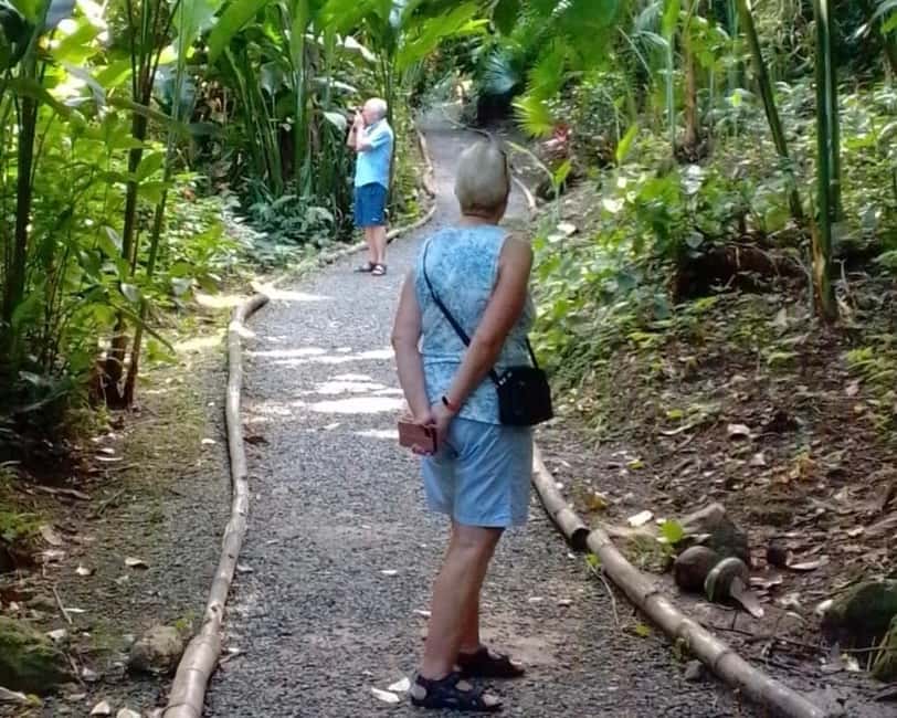image n.33 of St. Lucia: Private Customizable Day Tour with Driver activity in Castries Quarter, Saint Lucia, uploaded by supplier