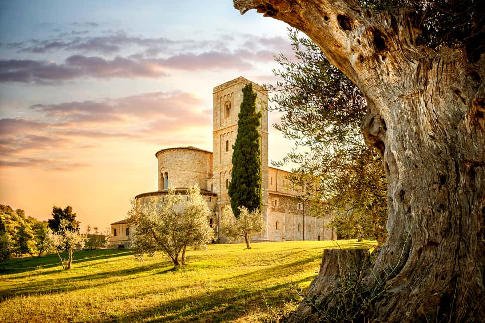 Immagine nº 13 di Firenze: Monteriggioni e Val d'Orcia Degustazione di vini opzionale attività a Monteriggioni, caricata dal fornitore