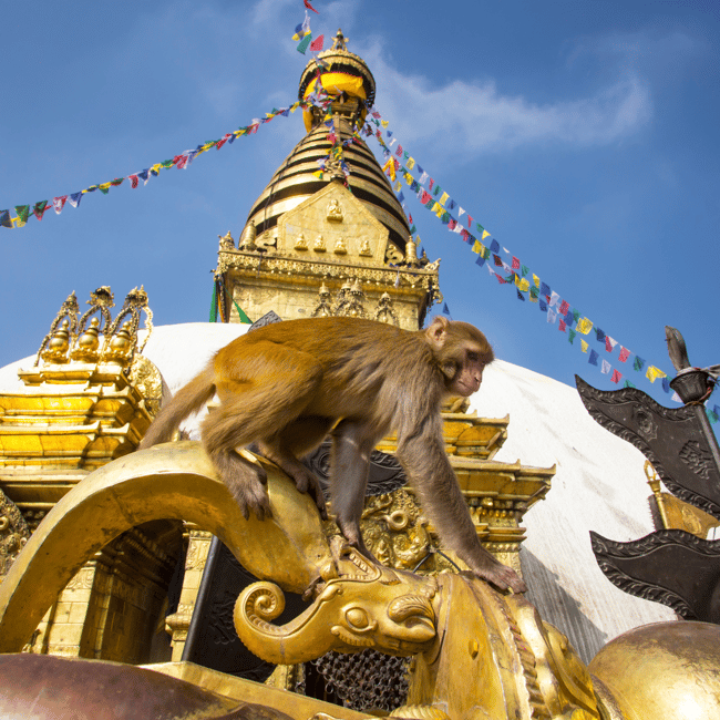 image n.6 of Kathmandu: Private/Group Tour to 7 UNESCO Sites with Lunch activity in Kathmandu, uploaded by supplier