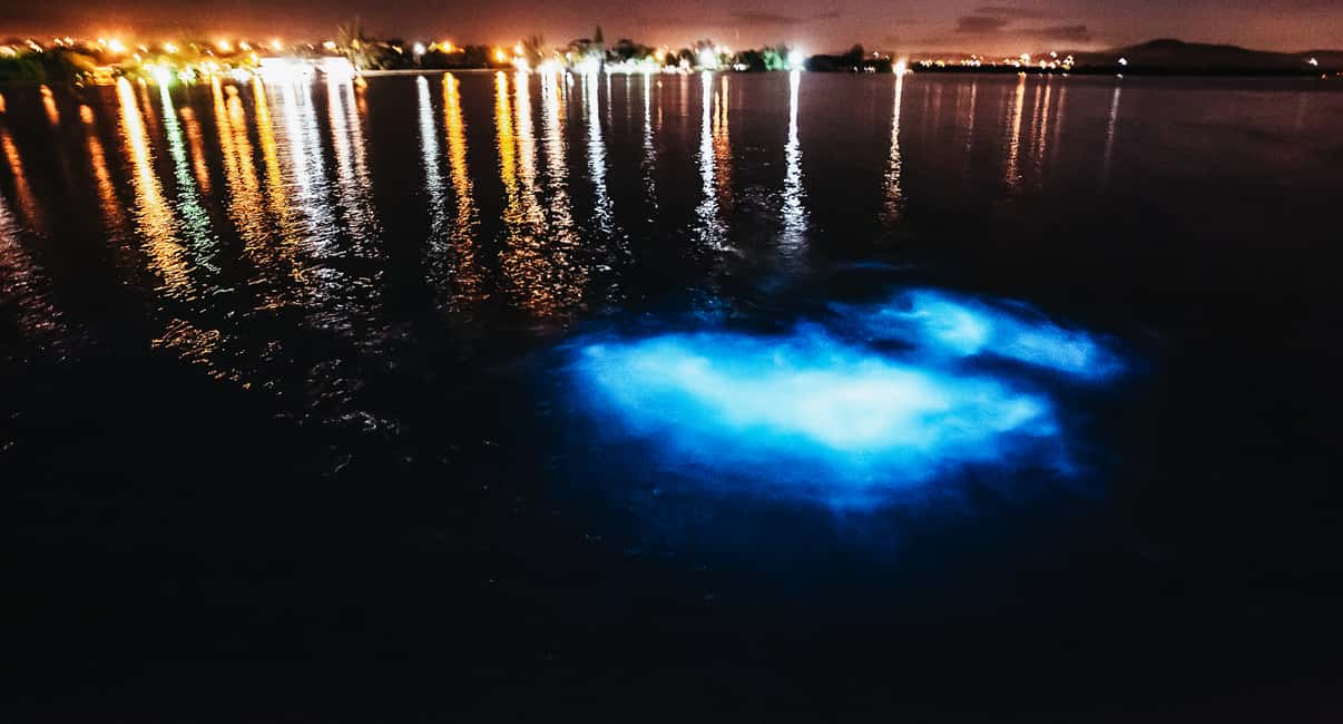 bild nr.11 av Från San Juan: La Parguera Glowing Bio Bay Boat Tour aktivitet i Västra regionen, Puerto Rico, uppladdad av arrangören