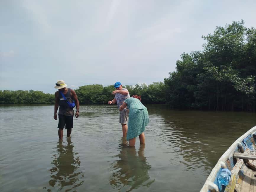 image n.87 of Cartagena: Private Sail in the mangrove GUIDE in ENGLISH activity in Cartagena, uploaded by supplier