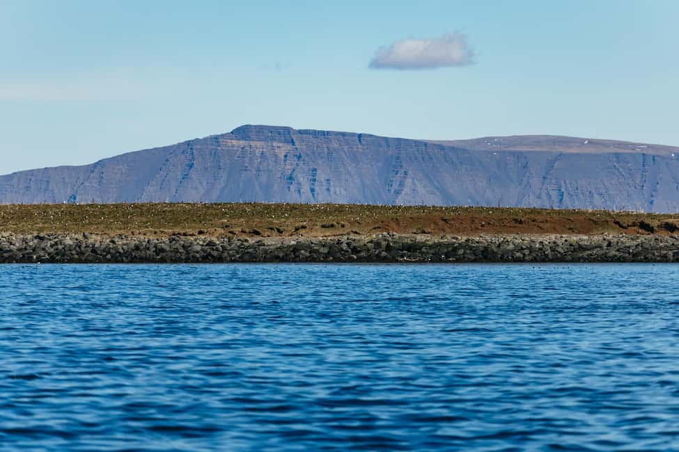 bild nr.11 av Reykjavik: Valskådningstur med RIB-båt aktivitet i Reykjavik, uppladdad av arrangören