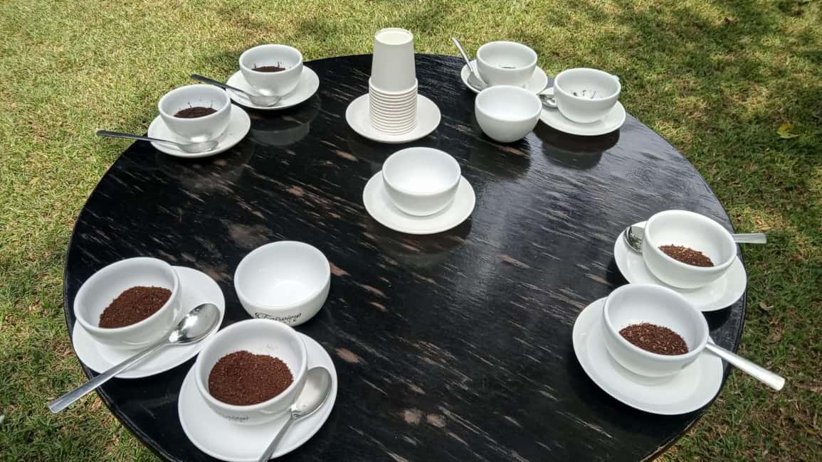 image n.59 of Coffee Farm Tour (Fairview) activity in Kiambu, uploaded by supplier