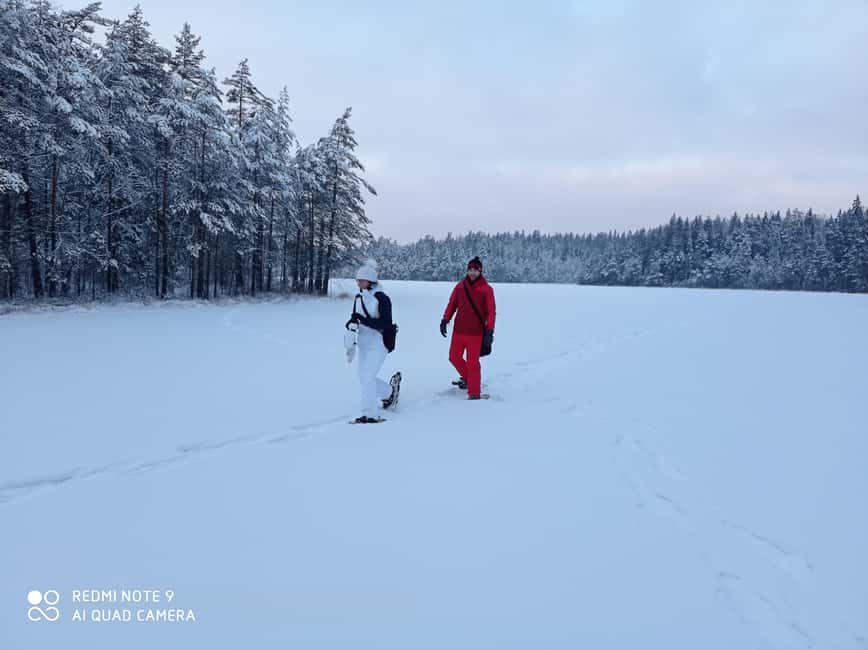 Image N°27 de Depuis Helsinki : Visite culinaire du parc national de Nuuksio activité à Helsinki, publiée par le prestataire