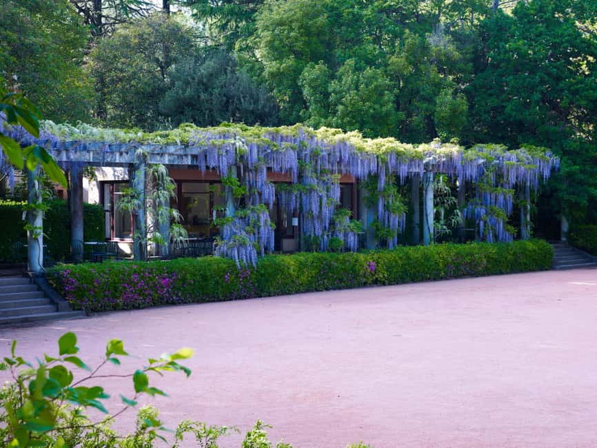 image n.7 of Porto: Serralves Foundation All Access Pass activity in Porto, uploaded by supplier