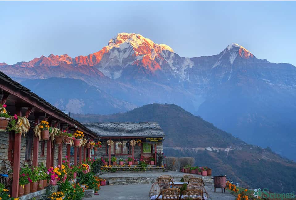 image n.2 of Pokhara: 5-Day Ghorepani and Poon Hill Private Trek activity in Pashchimanchal, Western Region, uploaded by supplier
