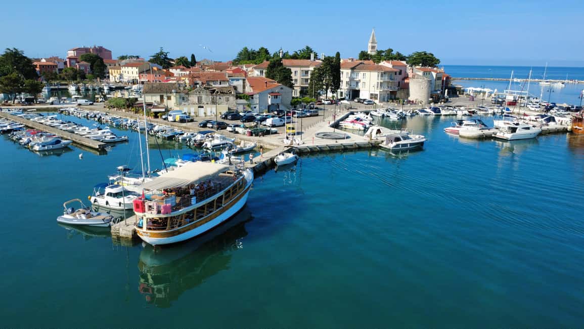 Bild Nr. 7 von Novigrad: Bootstour zur Delfinbeobachtung bei Sonnenuntergang mit Matek Aktivität in Novigrad, hochgeladen vom Anbieter