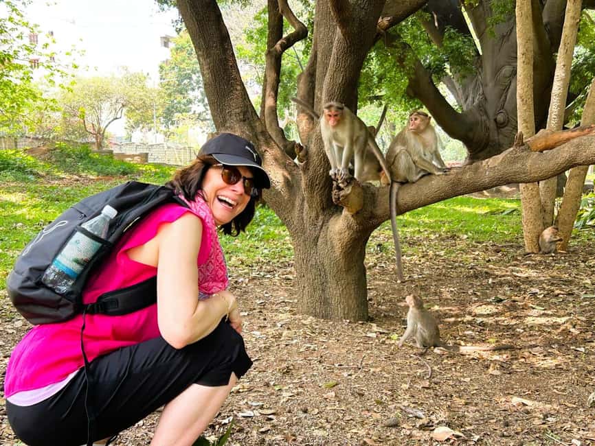 image n.7 of Discover Bangalore Through the Ages — Guided Tour with Lunch activity in Bangalore, uploaded by supplier