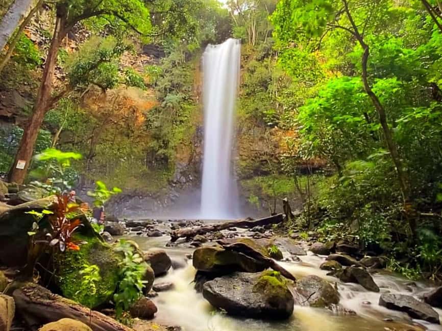 Immagine nº 4 di Kauai: Escursione guidata in kayak e a Secret Falls attività a Wailua, caricata dal fornitore