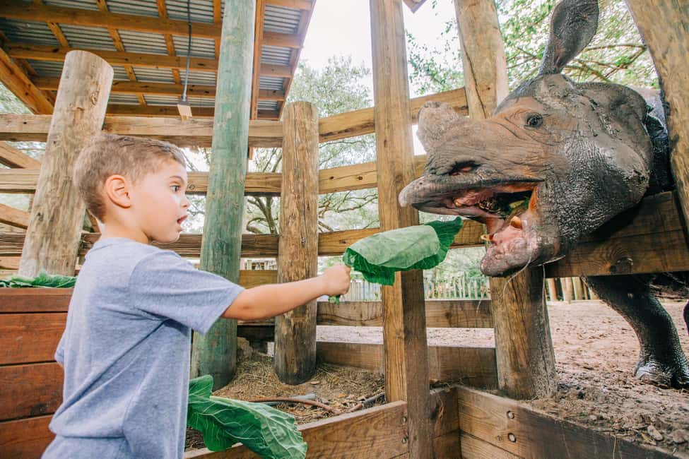 image n.30 of Tampa: ZooQuarium- ZooTampa & Florida Aquarium Combo Ticket activity in Tampa, uploaded by supplier