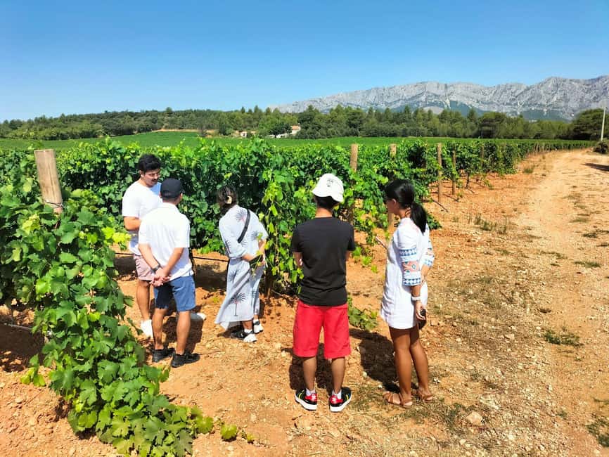 imagem n.37 de A riqueza da Provença num só dia - viagem privada personalizável atividade em Les Baux-de-Provence, carregada pelo fornecedor