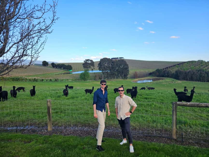 image n.21 of Melbourne: Yarra Valley Wine, Gin, Whisky and Chocolate Tour activity in Melbourne, uploaded by supplier