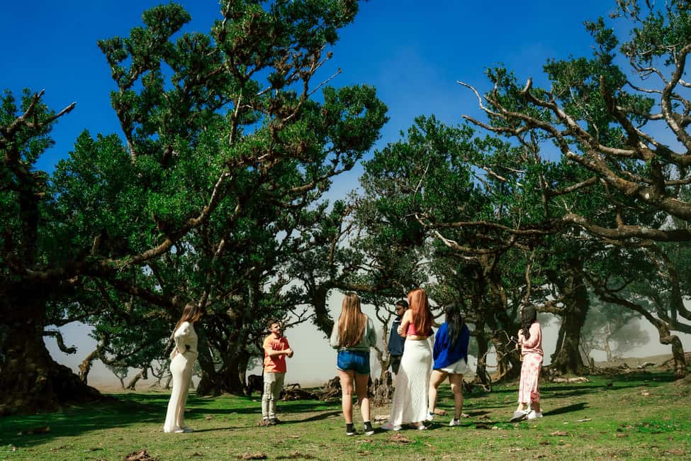image n.22 of Madeira: Skywalk, Porto Moniz, Seixal, and Fanal 4WD Tour activity in Madeira, uploaded by supplier