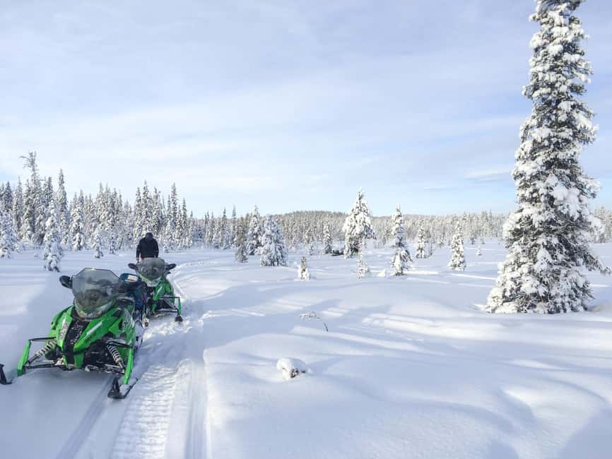 image n.3 of Polar Nature Tour on Snowmobile activity in Kiruna, uploaded by supplier