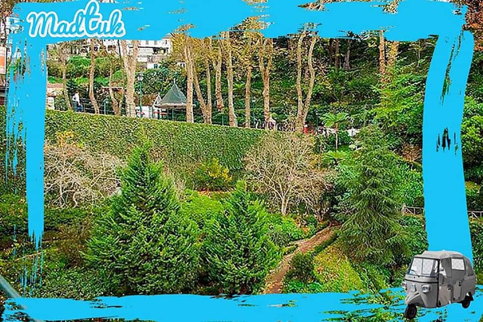 image n.2 of Madeira: Monte Toboggan + Old Town Tuk-Tuk Tour by MadTuk activity in Funchal, uploaded by supplier