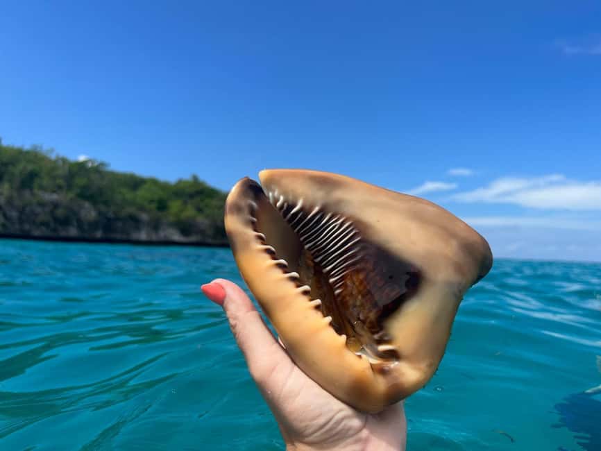 imagem n.21 de De Punta Cana: Excursão de mergulho com snorkel para pequenos grupos na Ilha Catalina atividade em La Romana, carregada pelo fornecedor