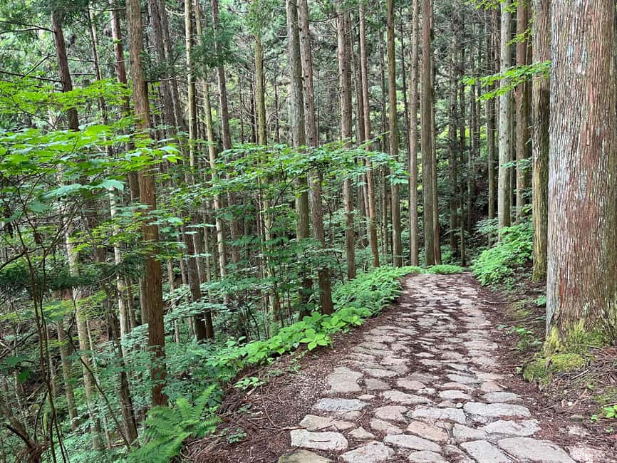 image n.2 of Nagoya: Nakasendo Trail with Cultural Experience & transport activity in Chubu Region, uploaded by supplier