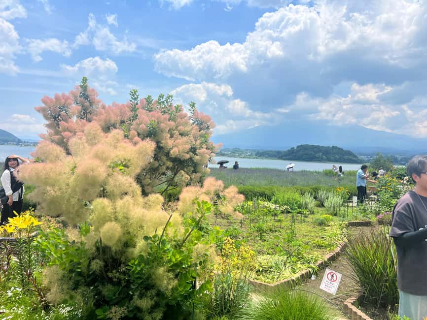 obrázek č.72 aktivity Tokio: Soukromá prohlídka hory Fuji a Hakone s anglicky mluvícím řidičem v destinaci Hakone, nahraný poskytovatelem aktivity