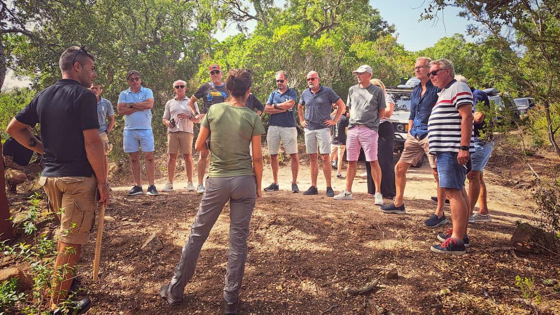Immagine nº 3 di Da Tempio: tour in jeep di 4 ore al Monte Limbara attività a Comune di Tempio Pausania, caricata dal fornitore