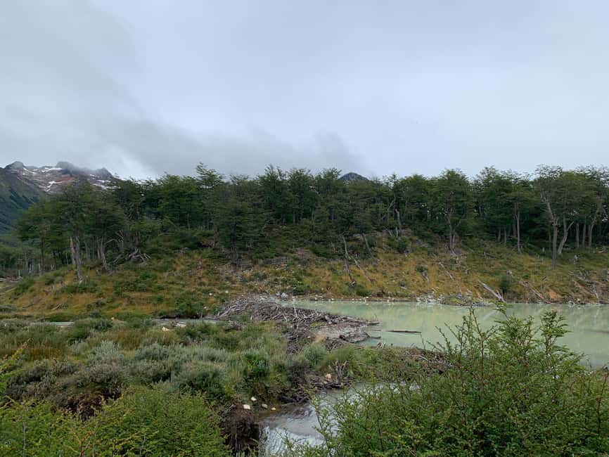 image n.9 of Ushuaia: Trekking Laguna Esmeralda and Fuegian Valleys activity in Tierra del Fuego, uploaded by supplier