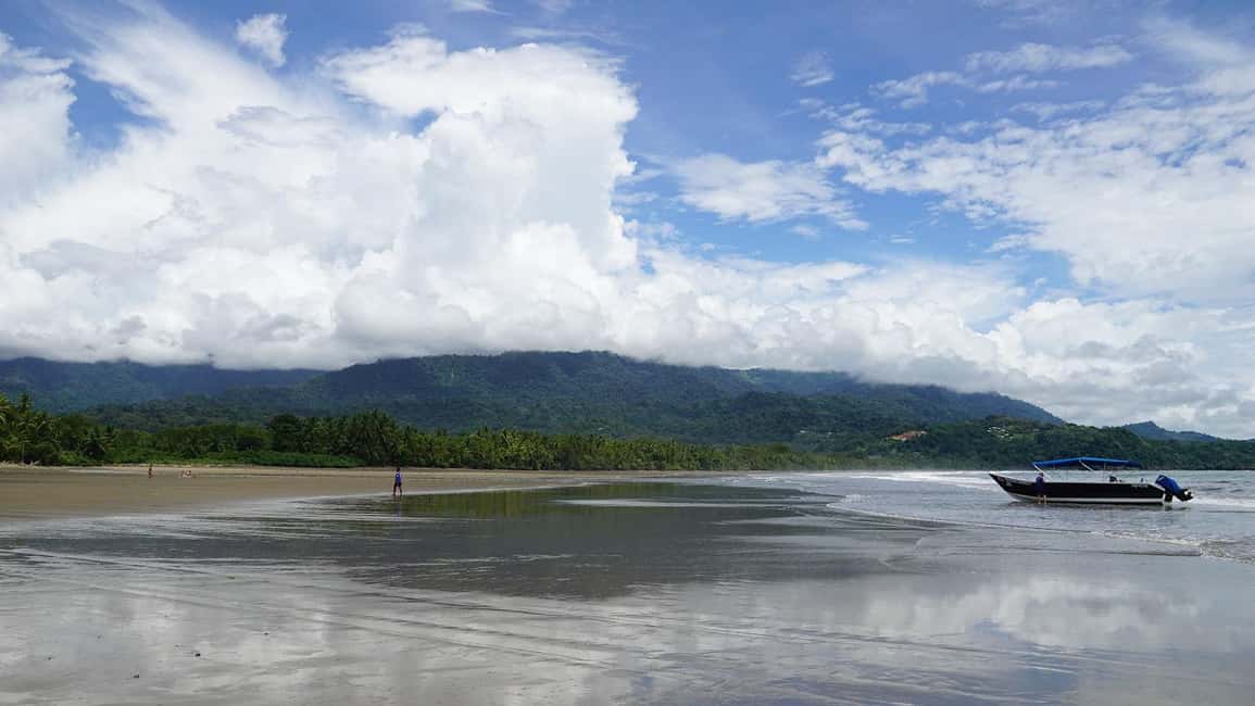 image n.5 of Uvita: Marino Ballena National Park Whale-Watching Tour activity in Jaco, uploaded by supplier