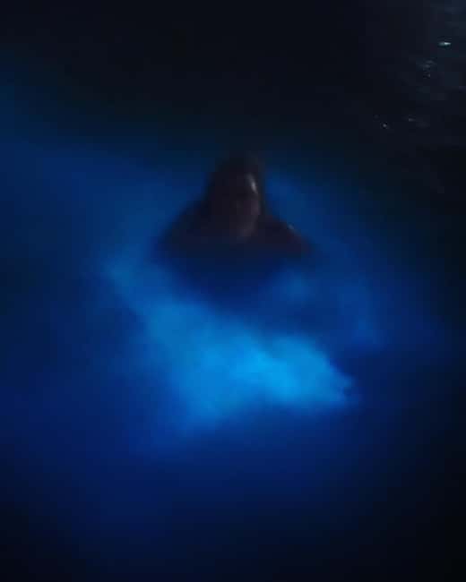 imagem n.9 de Excursão a Bob Marley, Blue Hole, Secret Falls e Luminous Lagoon atividade em Kingston, Jamaica, carregada pelo fornecedor
