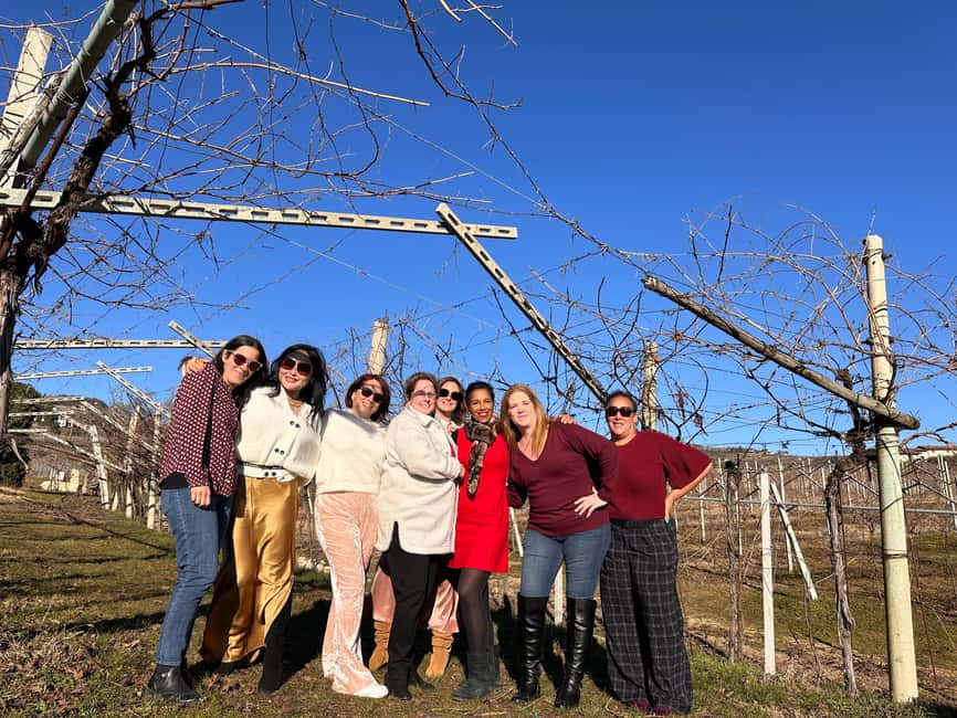 Immagine nº 39 di Il tour completo dell'Amarone: 2 cantine, pranzo e approfondimento sull'Amarone attività a Verona, caricata dal fornitore