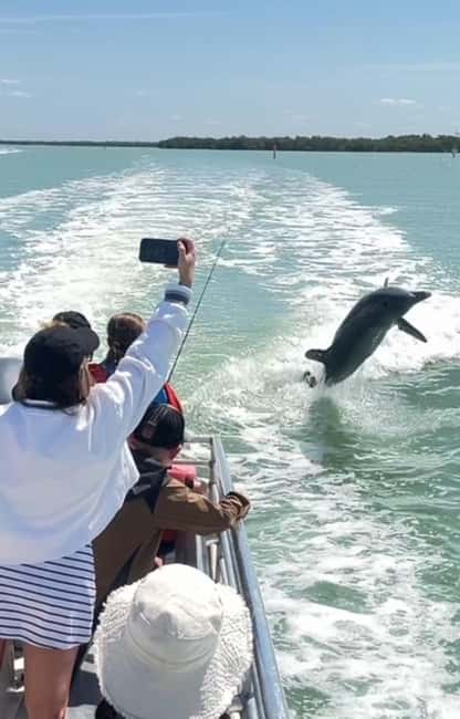 image n.11 of Marco Island: 2-Hour Dolphin, Birding, and Shelling Tour activity in Fort Myers, uploaded by supplier