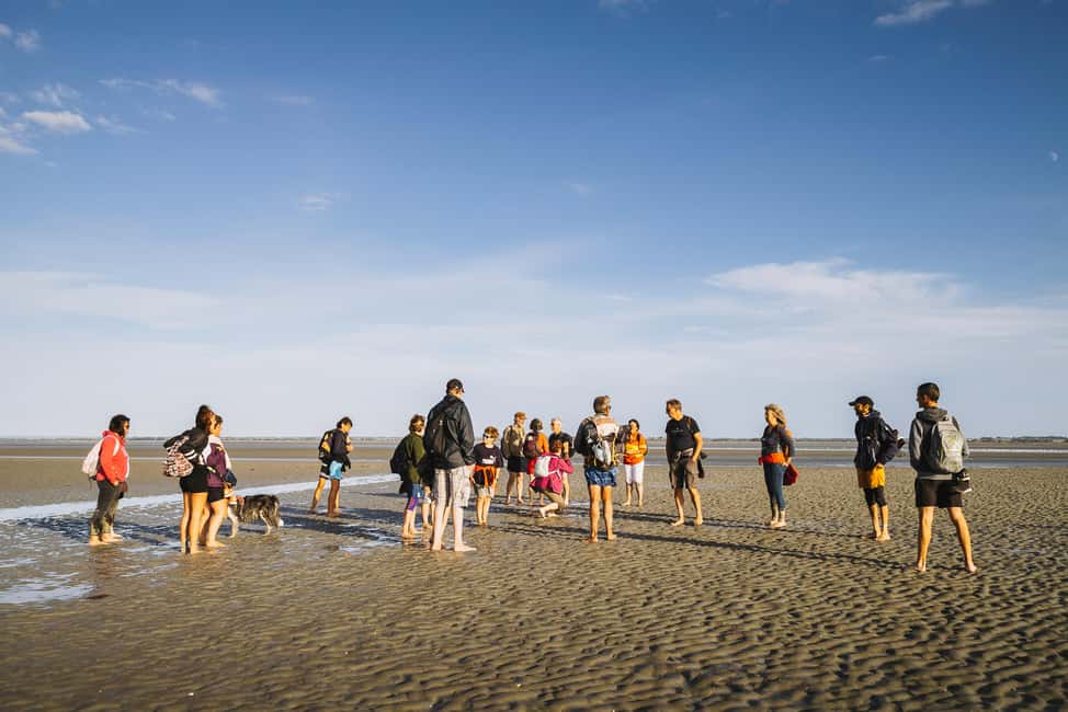 Image N°3 de Mont-saint-Michel : Promenade au cœur de la Baie activité à Normandie, publiée par le prestataire