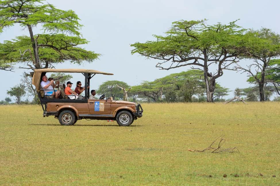 image n.48 of From Zanzibar: Day Selous Game Reserve Safari with Flights activity in Morogoro Region, uploaded by supplier
