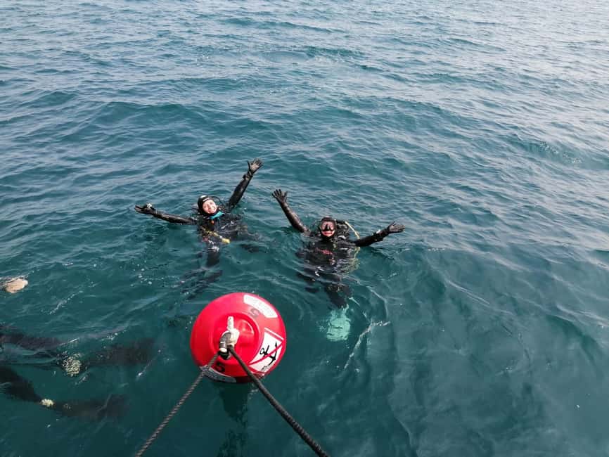 image n.6 of Argelès-sur-Mer : first dive in the Marine Natural Park activity in Perpignan, uploaded by supplier
